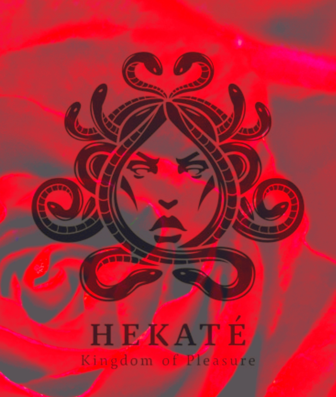 Picsart 23 03 17 22 25 22 539